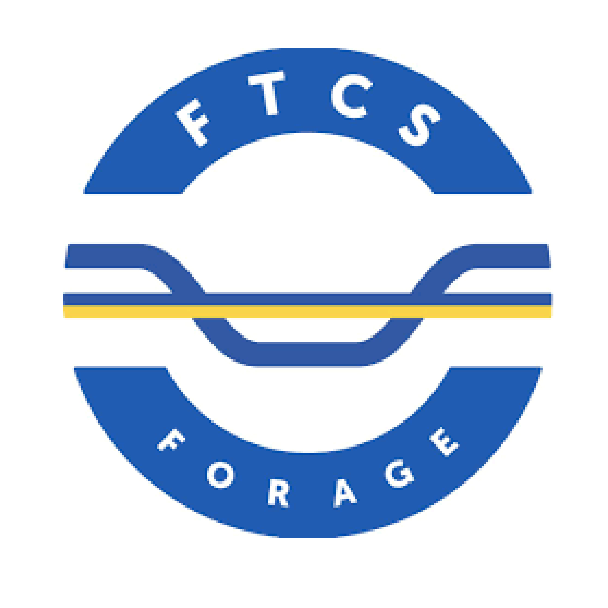 FTCS FORAGE - CRT LESQUIN