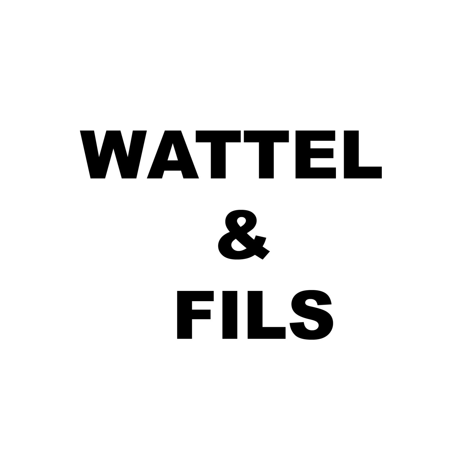 WATTEL & FILS - CRT LESQUIN