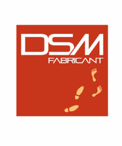 DIFFUSION SOL MUR (DSM) - CRT LESQUIN