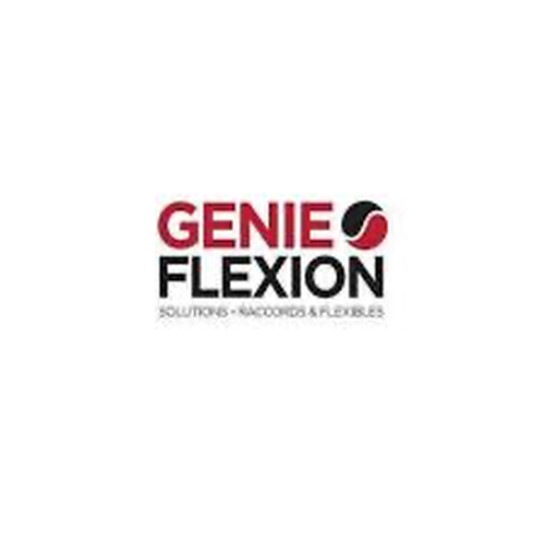 GENIE FLEXION - CRT LESQUIN