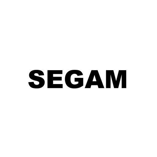 SEGAM- CRT LESQUIN