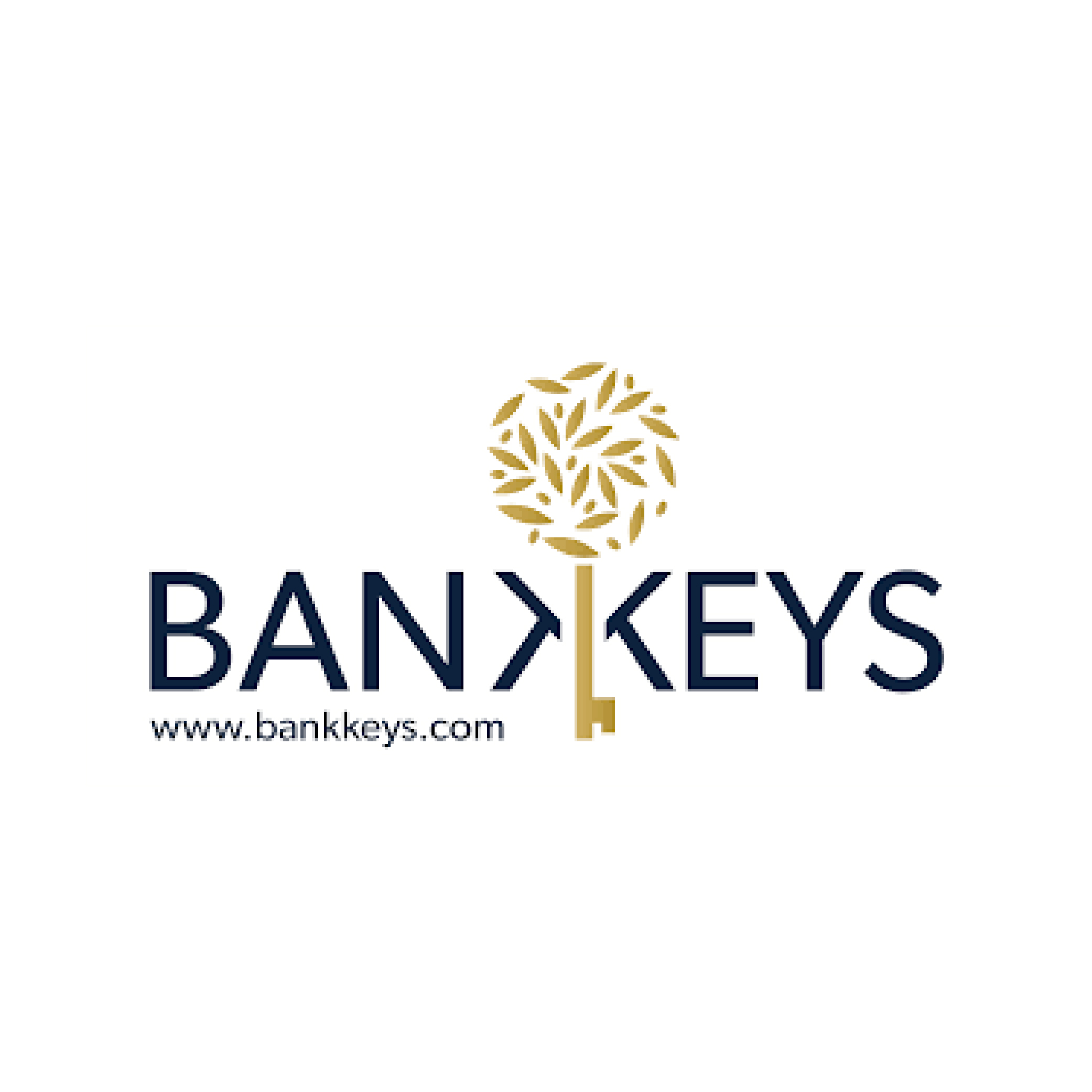 BANKKEYS - CRT LESQUIN