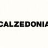 Calzedonia